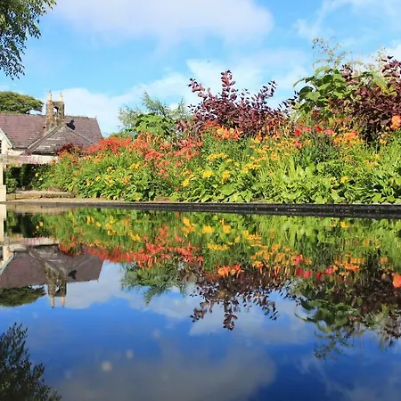 June Blake's Garden