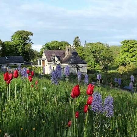 June Blake's Garden Blessington