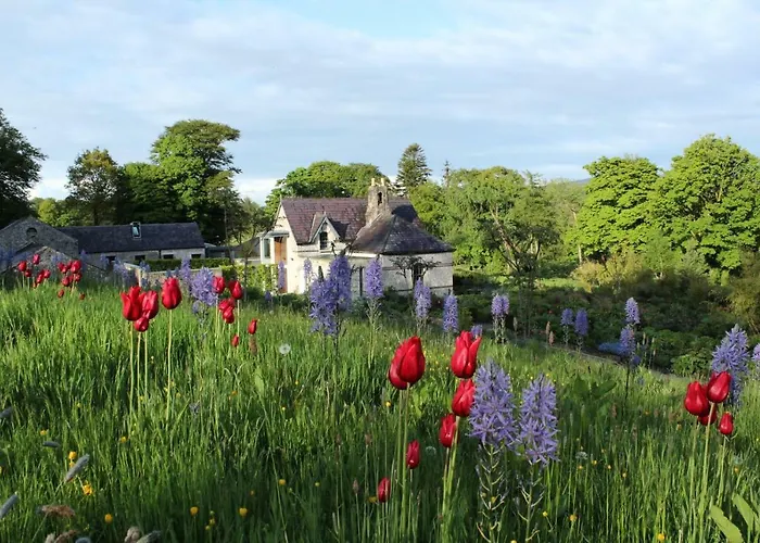 June Blake's Garden Blessington